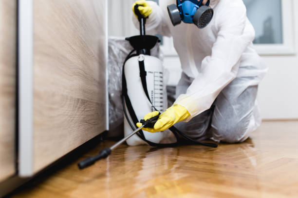 Best Local Pest Control Services  in Fortville, IN