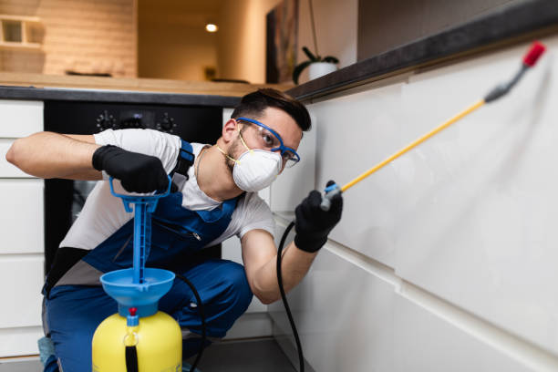 Best Local Pest Control Services  in Fortville, IN