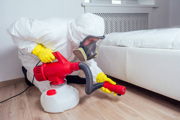 Best Termite Control Services  in Fortville, IN