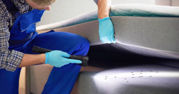 Best Emergency Pest Control  in Fortville, IN