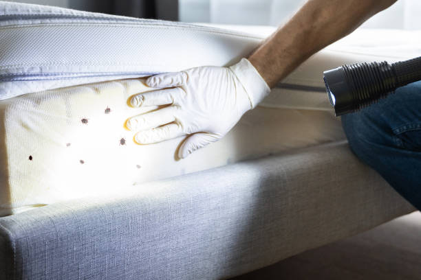 Best Pest Control for Businesses  in Fortville, IN