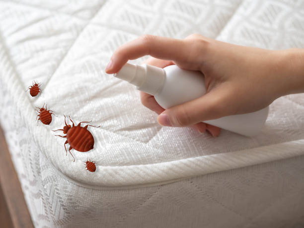 Best Flea Control Services  in Fortville, IN