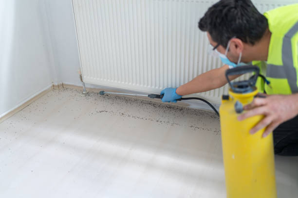Best Local Pest Control Services  in Fortville, IN