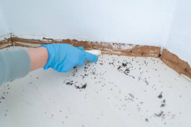 Best Residential Pest Control  in Fortville, IN