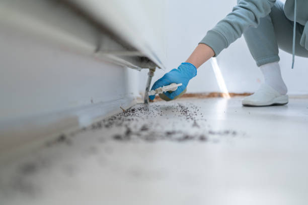 Best Affordable Pest Control Services  in Fortville, IN